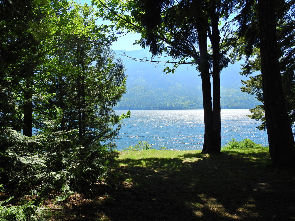 Trans Canada trail/Cultus lake~5/23/2017~18