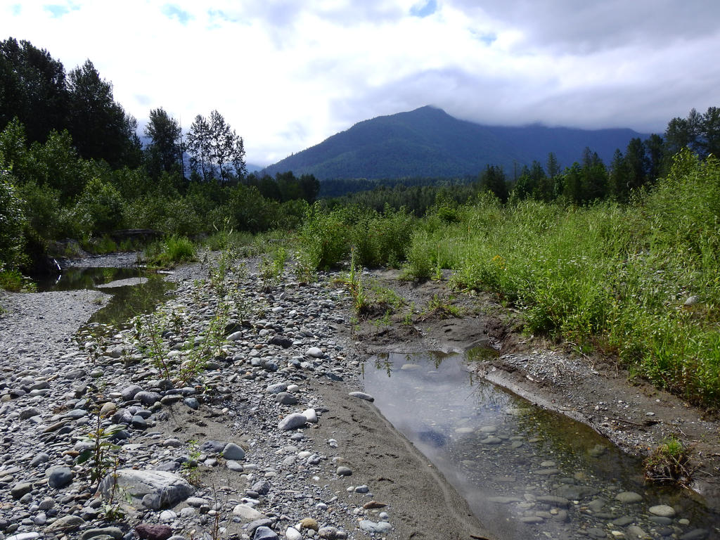 Chilliwack River~6/21/2019~9 by Matthew-Fuller on DeviantArt