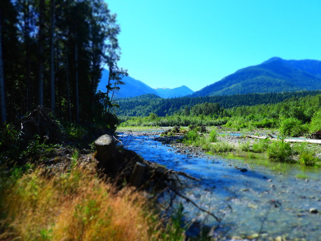 Biking to the Chilliwack River~6/26/2021~7 by Matthew-Fuller on DeviantArt