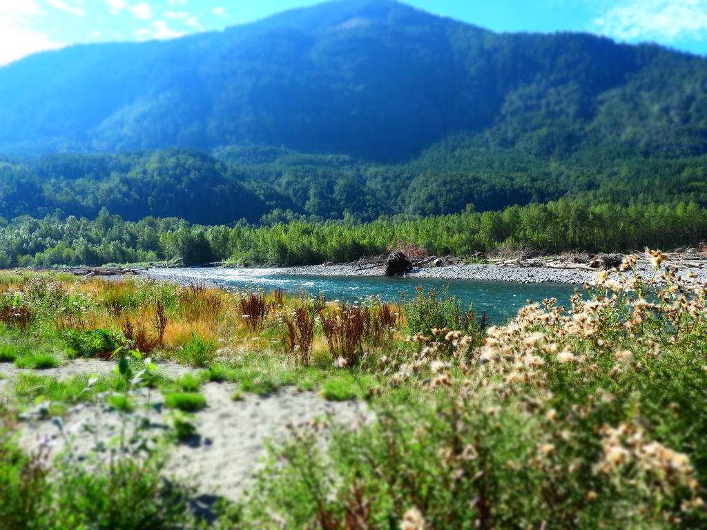 Chilliwack river~8/22/2022~7 by Matthew-Fuller on DeviantArt