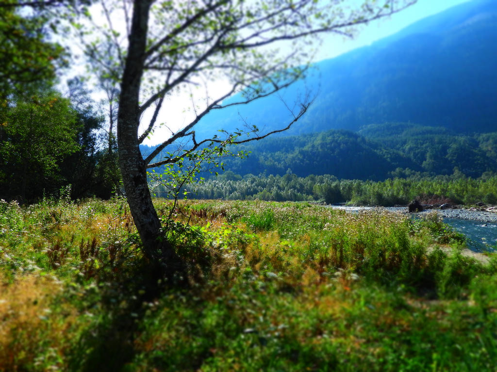 Exploring the Chilliwack River~9/1/2022~3 by Matthew-Fuller on DeviantArt