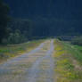 Biking the Vedder canal~6/29/2026~6