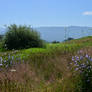 Biking the Vedder canal~7/15/2026~9