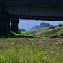 Biking the Vedder canal~7/15/2026~4