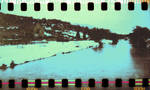 Brownie 12-1-10 3 by TempestInAFlatHat