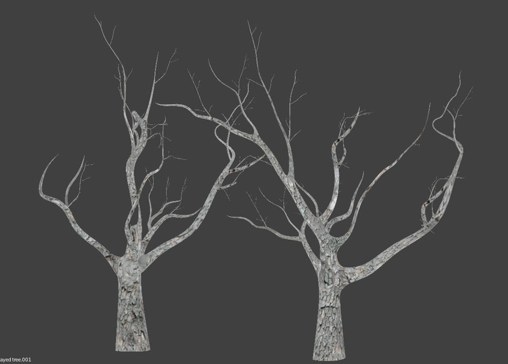 Decayed trees by betasector on DeviantArt