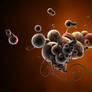 Cytoplasm
