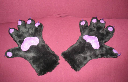 Black and purple paws face up