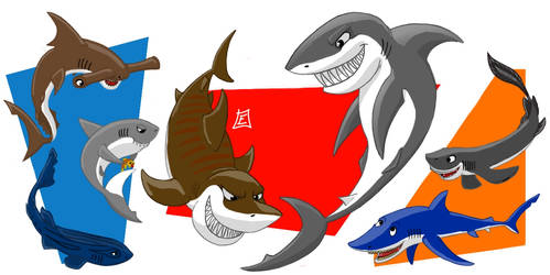 Shark Week Sketch Colour