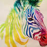 Rainbow zebra