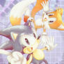 Sonic and Tails: Dreamteam