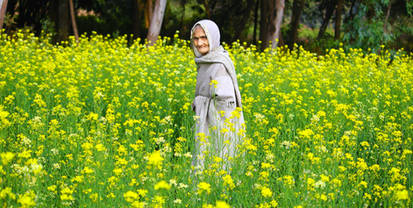 Life: Old woman in a mustard field