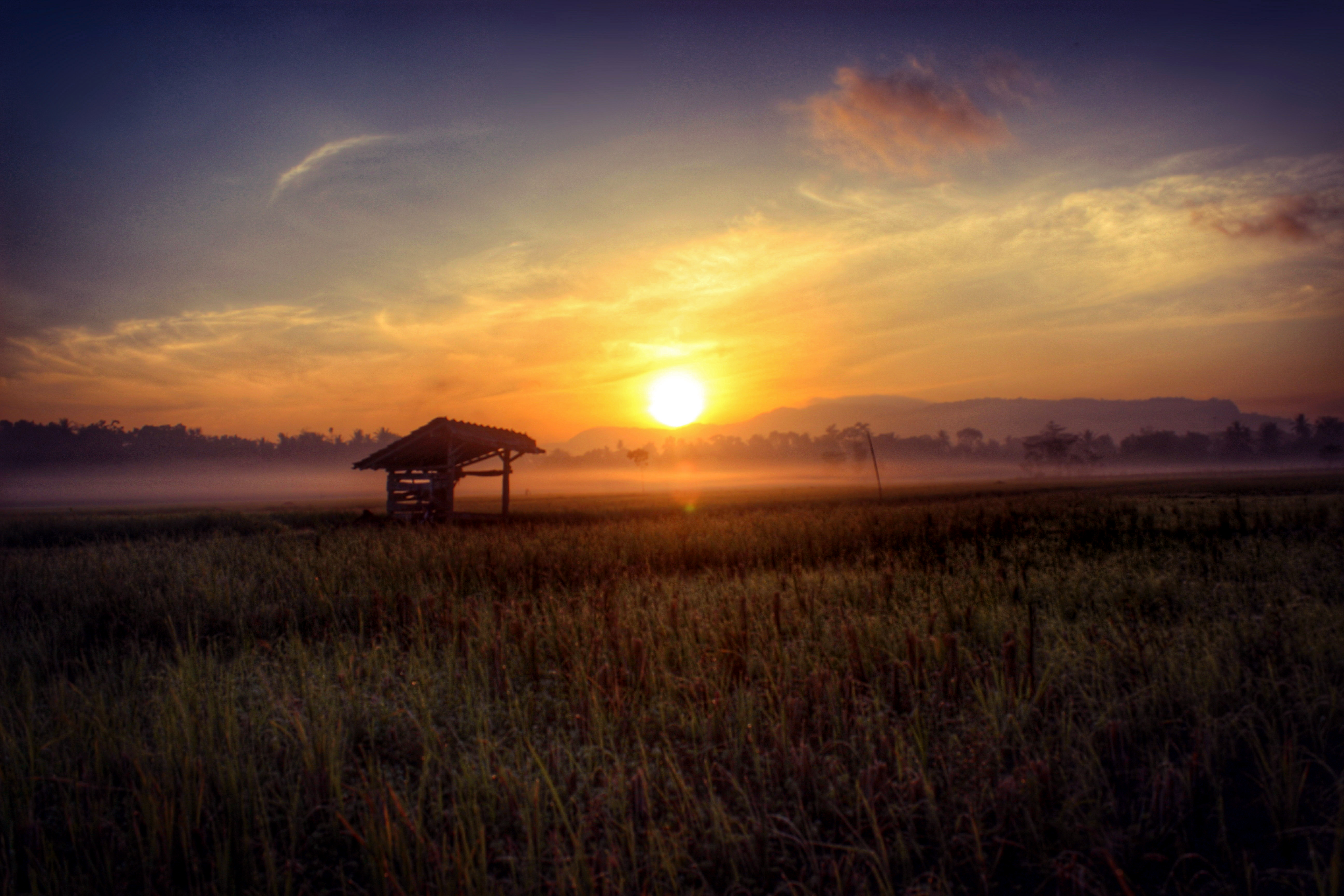 morning at village