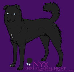 Nyx - 016