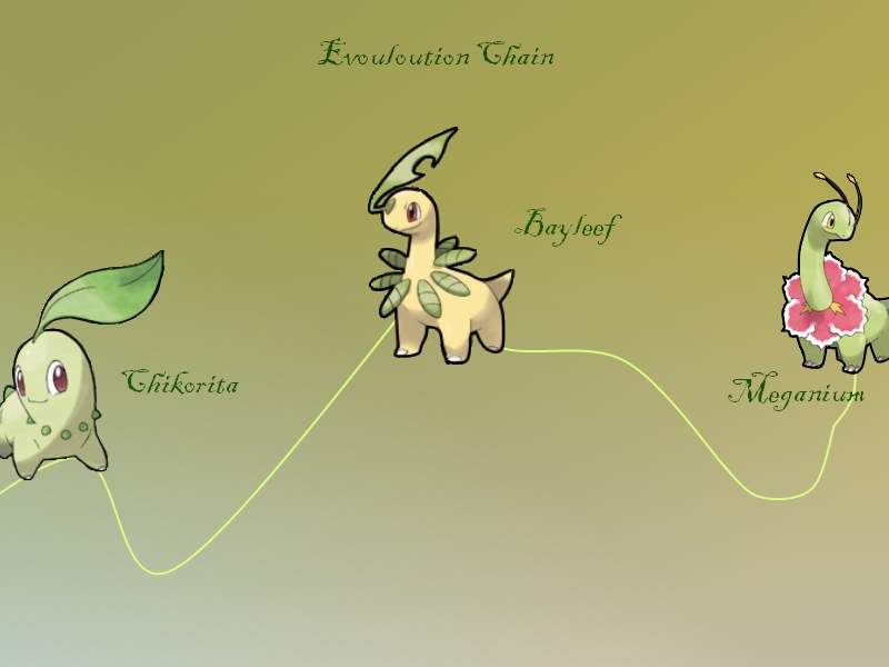 Chikorita Evolution Chain by TheMaskedBurrito on DeviantArt