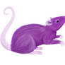 Purple Rat