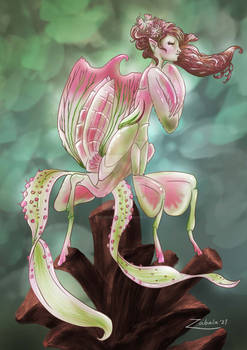 Orchid Mantis Fairy