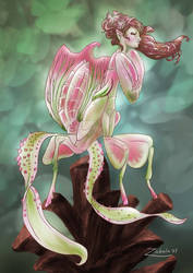 Orchid Mantis Fairy