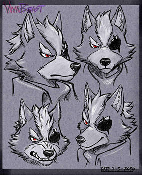 Wolf Warm-up Drawings