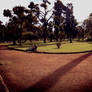 In the park...