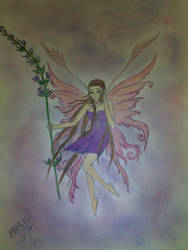 Lavender Fairy