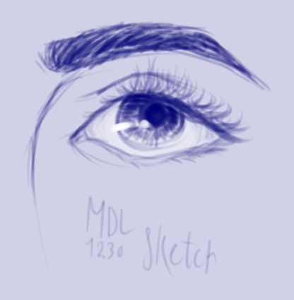 An eye-sketch