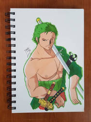 Day 135 Roronoa zoro