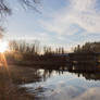 Afternoon by the River