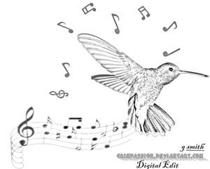 Musical humming bird 1