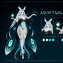 Adoptable-004 Moth