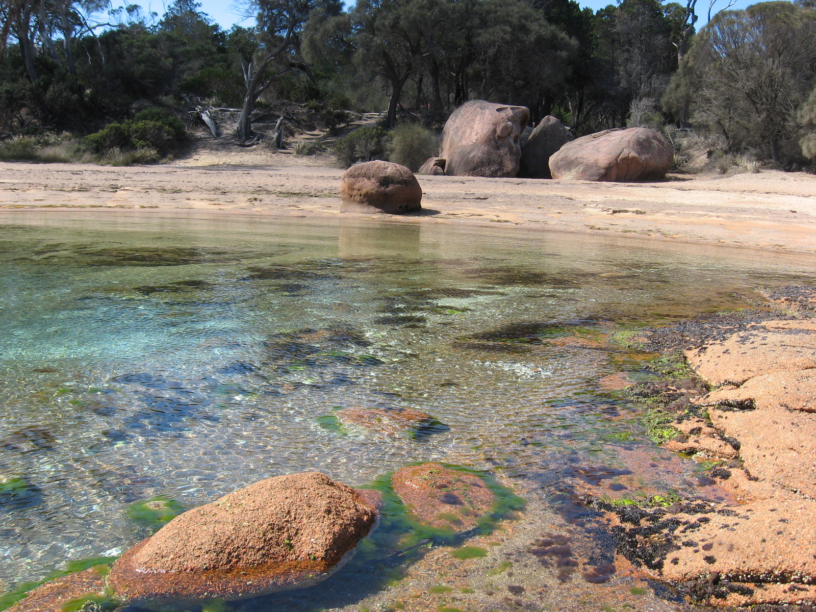 Tasmanian Beach.5