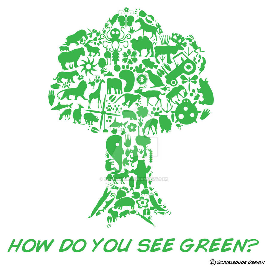 DM 4: How Do You See Green?