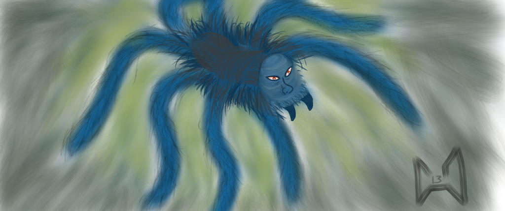 Deviantart Spider Spider by Chrisdecesare on DeviantArt