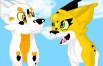 Koicat activity- Tetra chats with Koi by The-Rootbeer-Queen