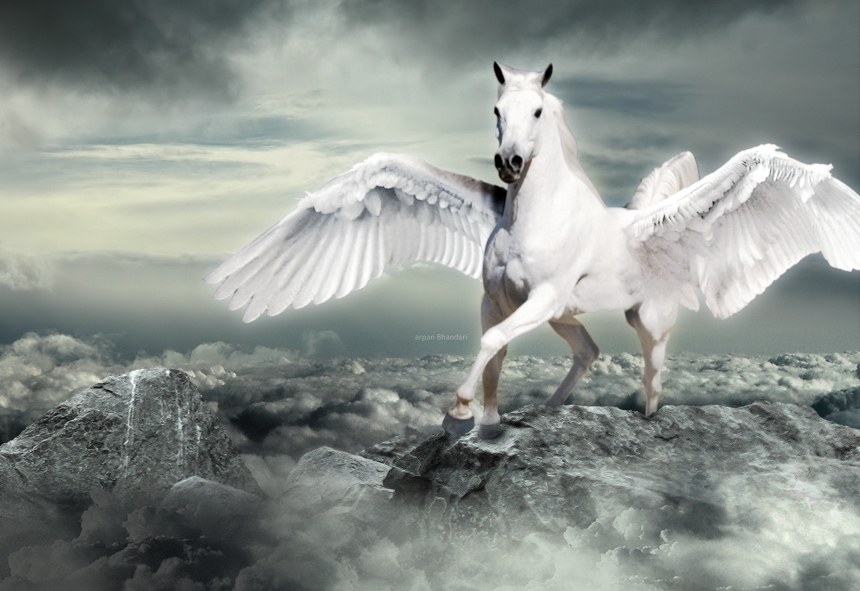 Pegasus