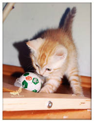 Sam playing football