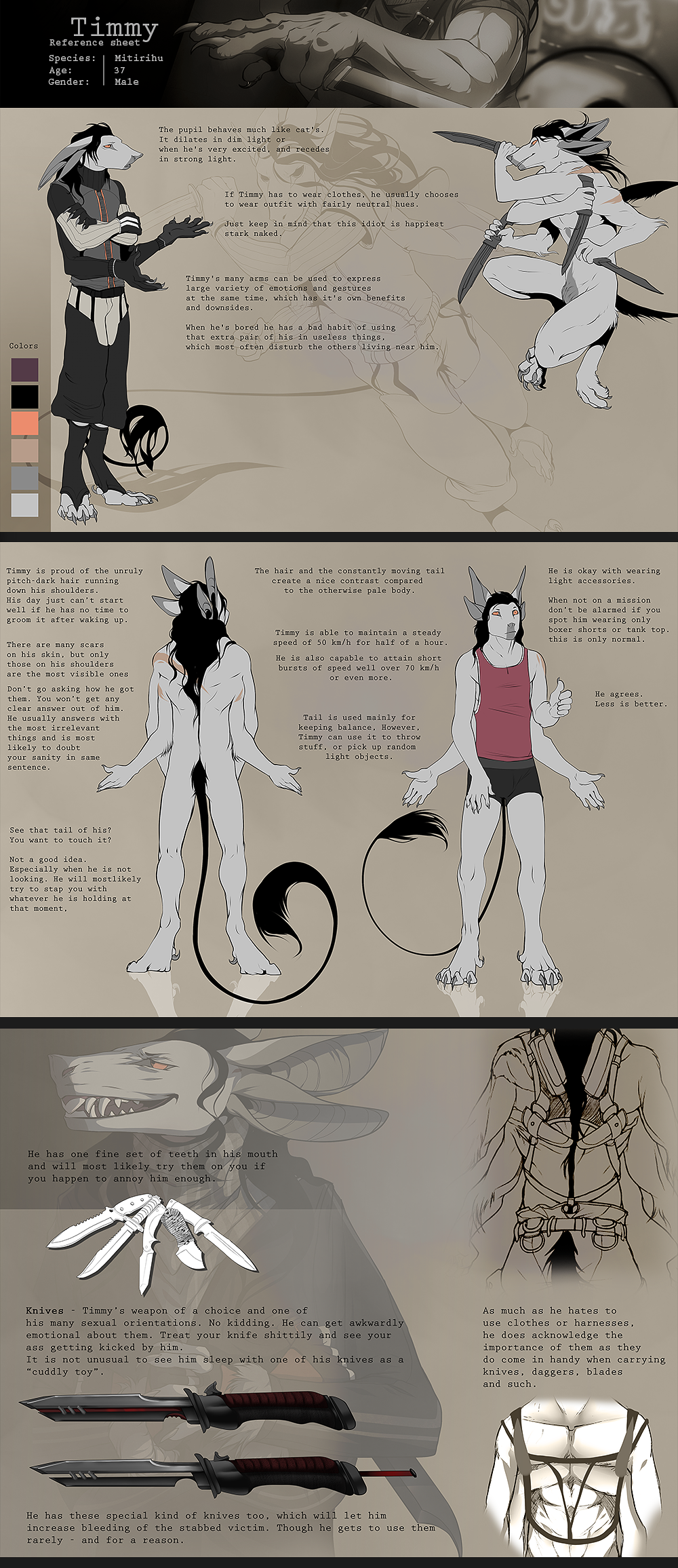 Timmy - reference sheet