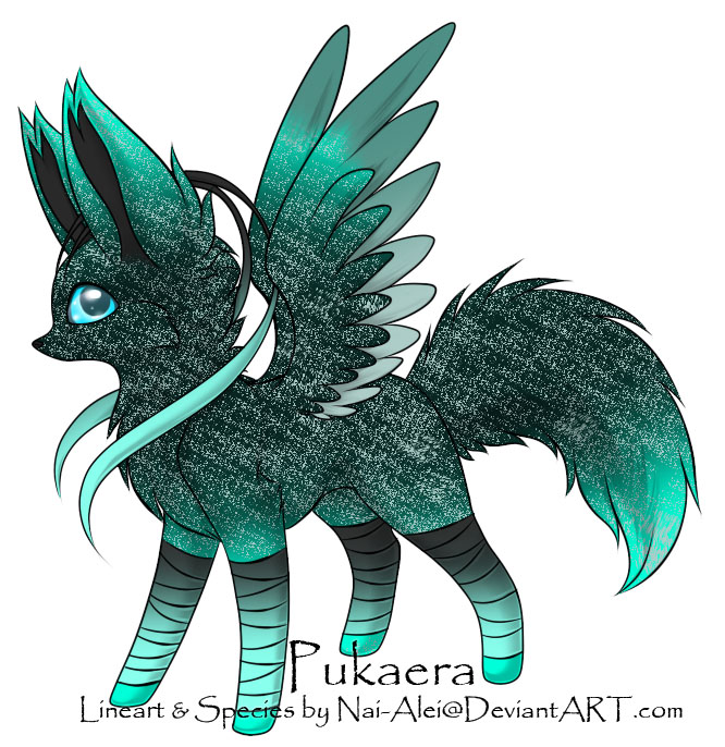 Pukaera Adoptable ~ 24