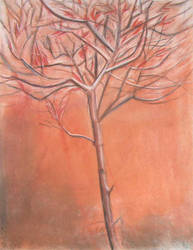 Leafless tree