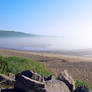 Fog on the morning beach