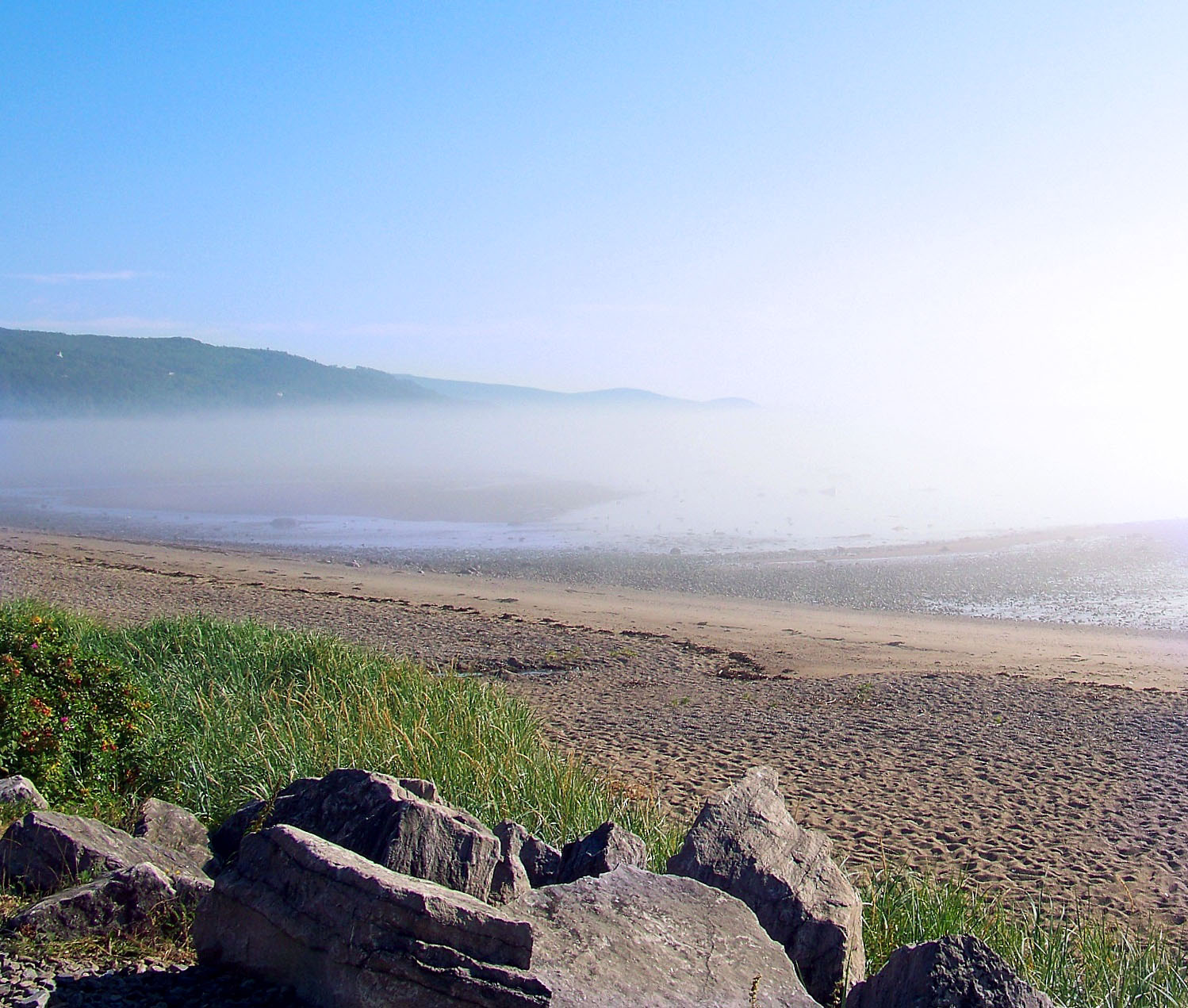 Fog on the morning beach