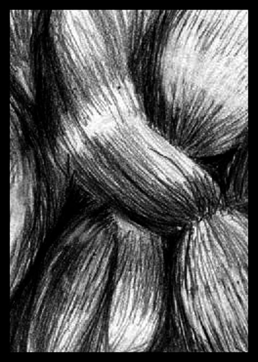 Knot of Hair