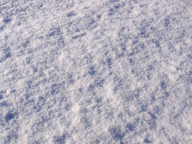 Snow Texture