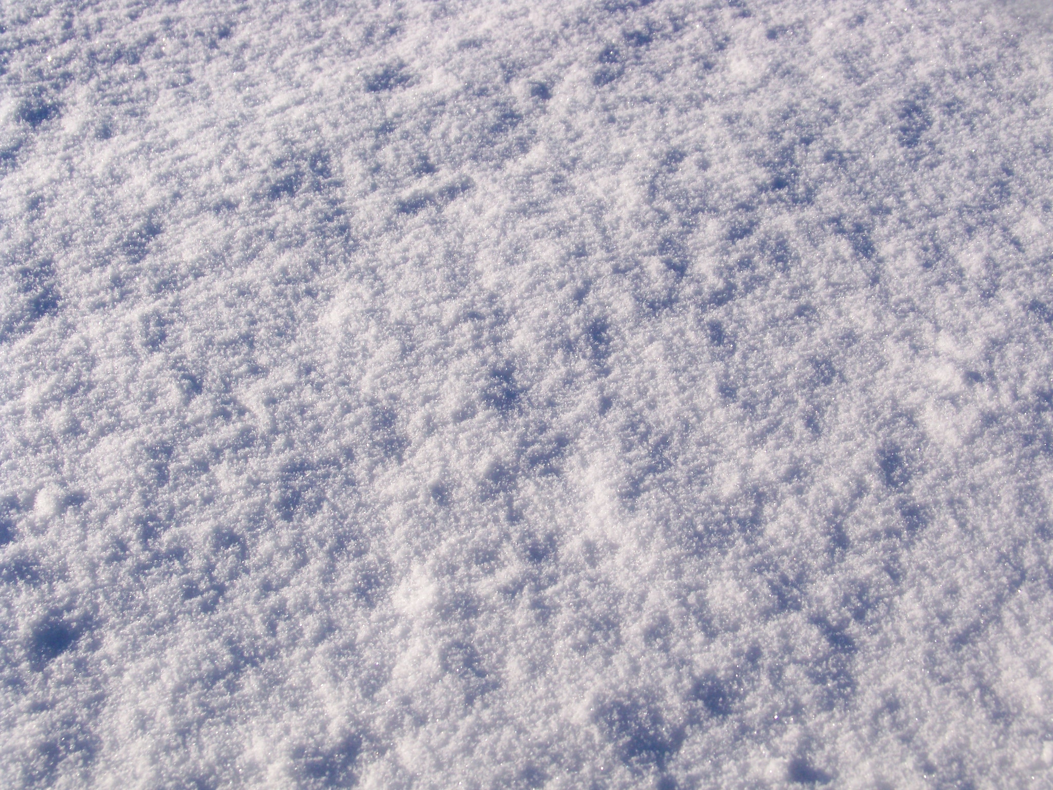 Snow Texture