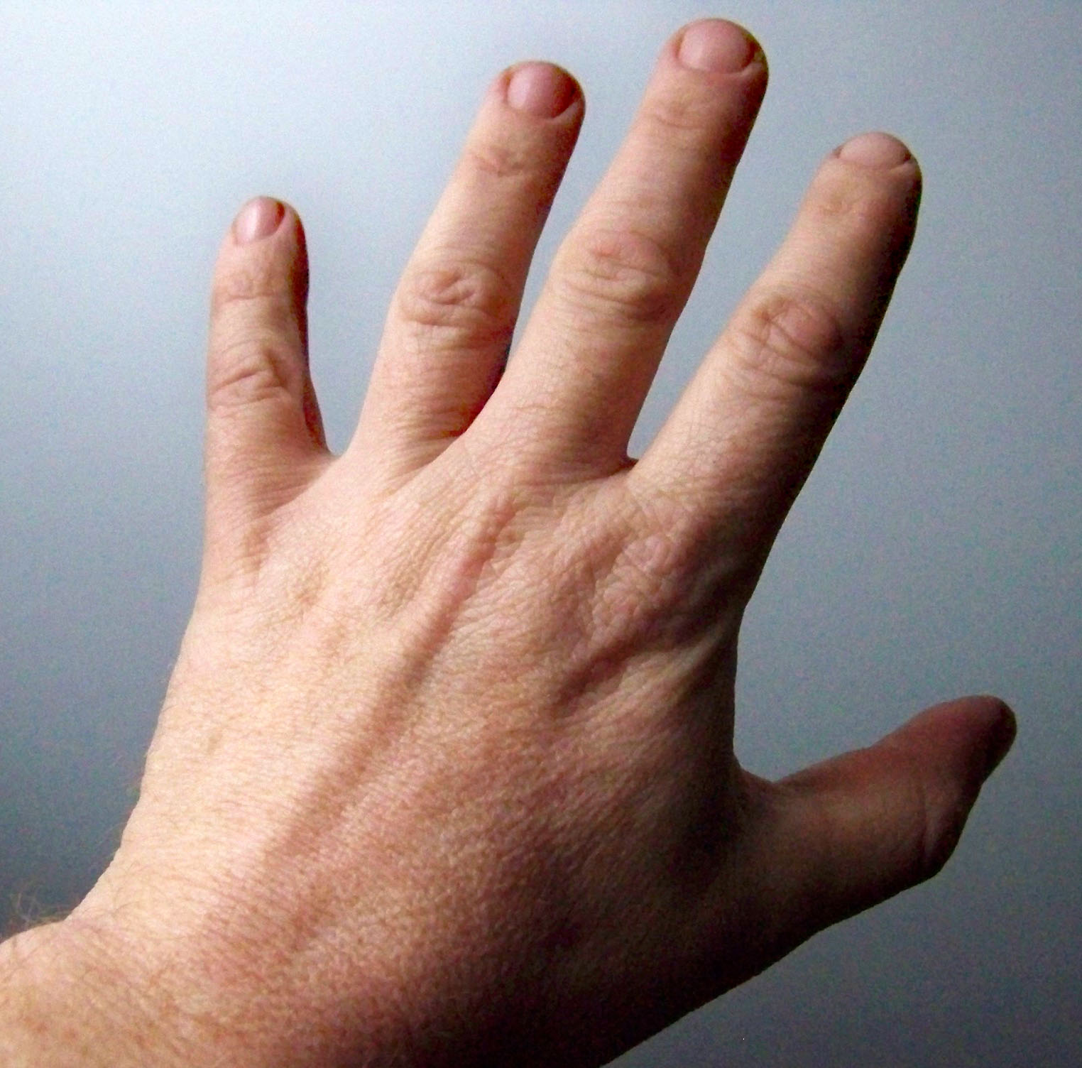 Male Hand Model Requirements