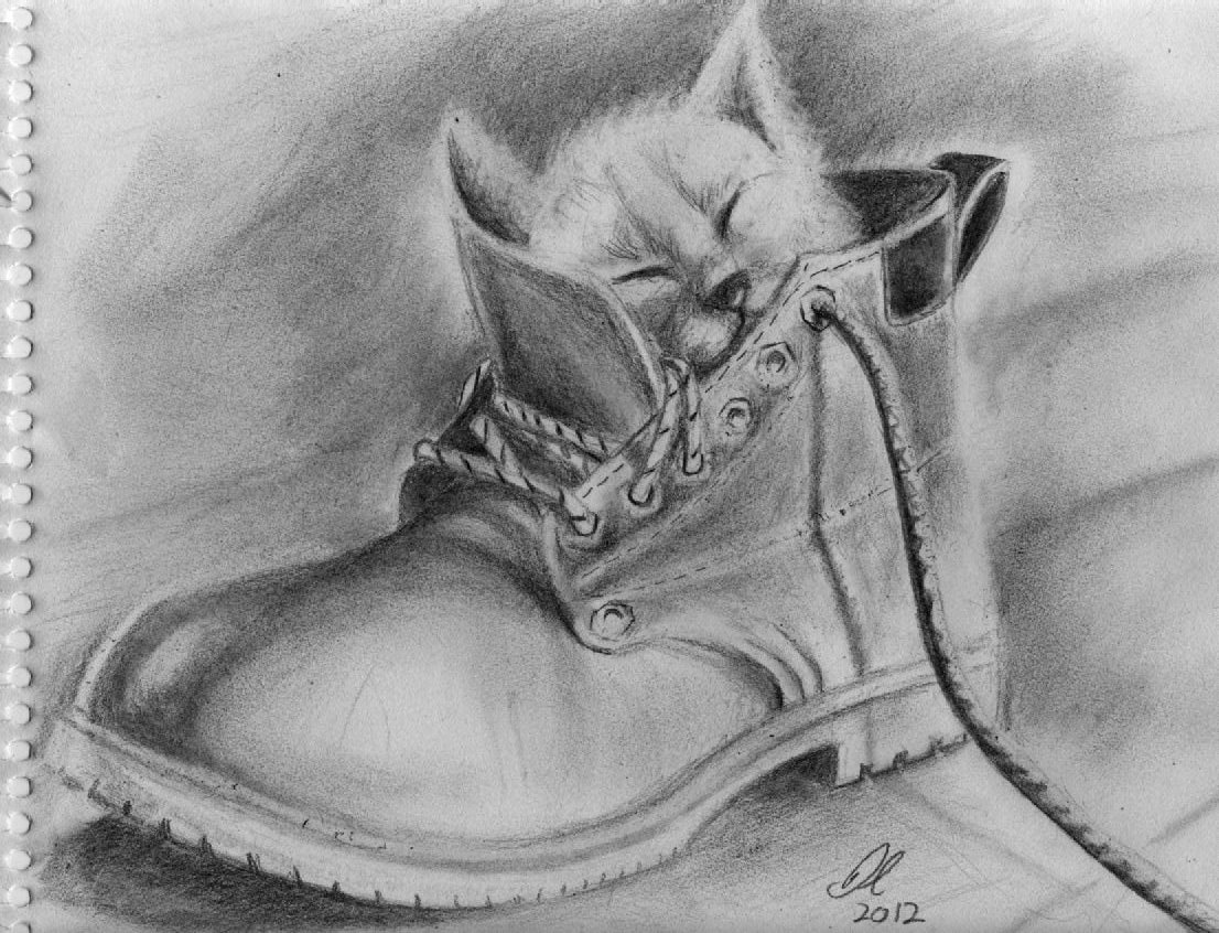 Boot-iful Kitty