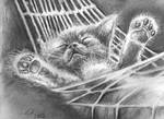 Napping Kitty for Jocelyne by philippeL