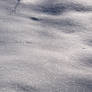 Snow Texture 2