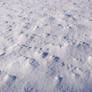 Snow Texture 6