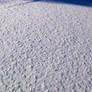 Snow Texture 4
